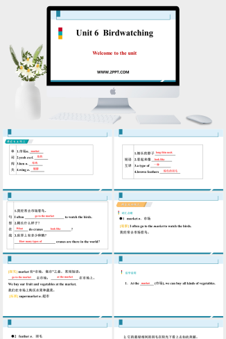 Unit 6  Birdwatching Period 1(1)-英语课件