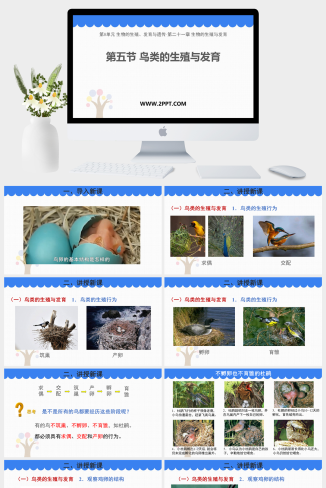 苏教版八年级下册生物《3鸟类的生殖和发育》课件PPT模板