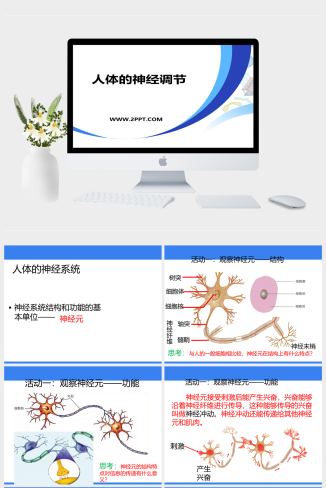 苏教版七年级下册生物《2人体的神经调节》课件PPT模板