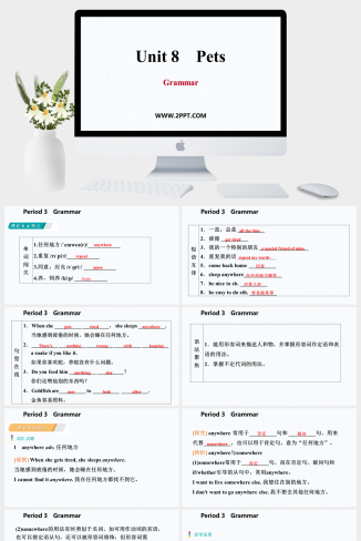 Unit 8《Pets》Period 3　Grammar(1)-英语课件