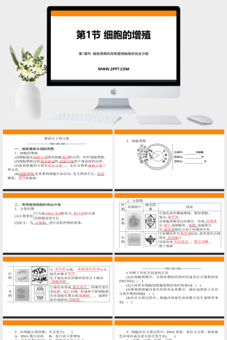 人教版高中生物必修一《第1课时 细胞周期和高等植物细胞的有丝分裂》课件PPT模板