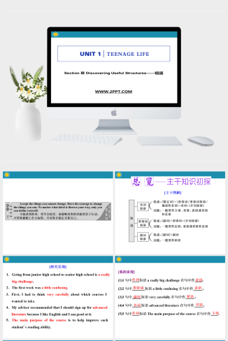 Section Ⅲ　Discovering Useful Structures-英语课件