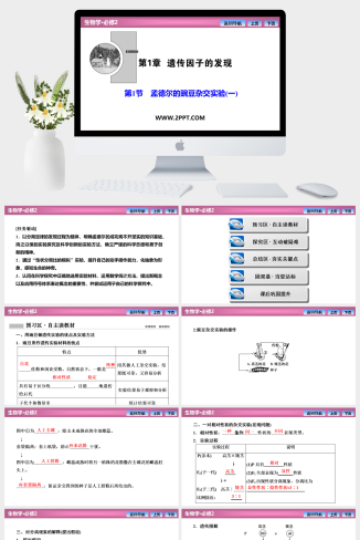 人教版高中生物必修二《第1章  第1节　孟德尔的豌豆杂交实验(一)》课件PPT模板
