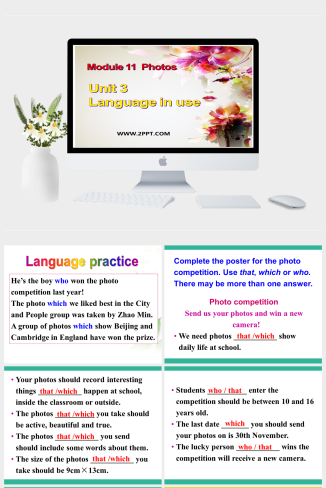 Module 11 Photos Unit 3 Language in use（共46张PPT）-