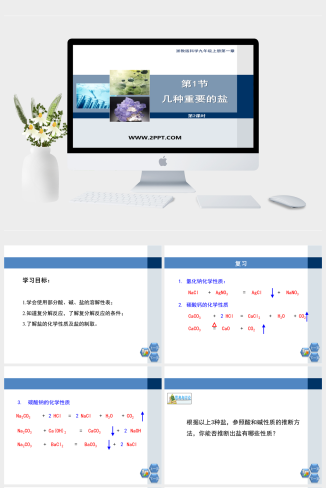 浙教版九年级上册科学1.6《几种重要的盐》2第二课时优