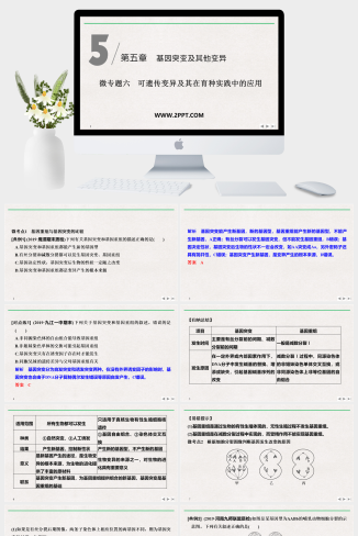人教版高中生物必修二《微专题六 可遗传变异及其在育种实践中的应用》课件PPT模板