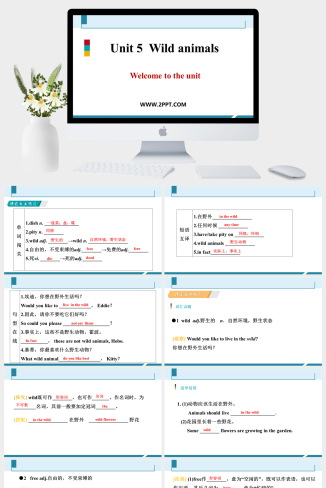 Unit 5《Wild animals》Period 1(5)-英语课件