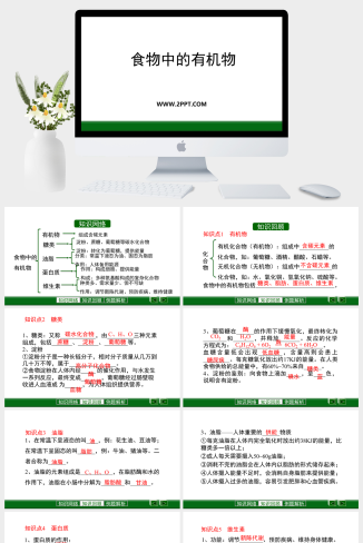 鲁教版九年级下册化学《1食物中的有机物(1)》课件PPT