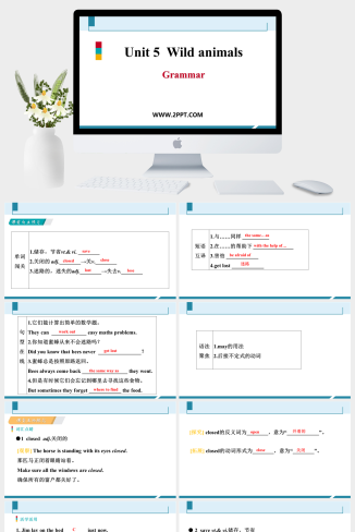 Unit 5《Wild animals》Period 3(2)-英语课件