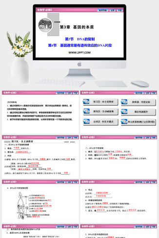 人教版高中生物必修二《第3章  第3节  第4节　基因通常是有遗传效应的DNA片段 》课件PPT模板