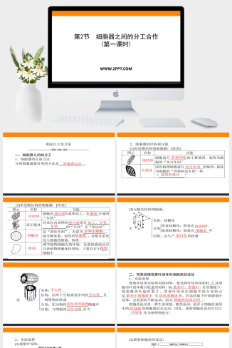 人教版高中生物必修一《第2节　细胞器之间的分工合作 第1课时》课件PPT模板