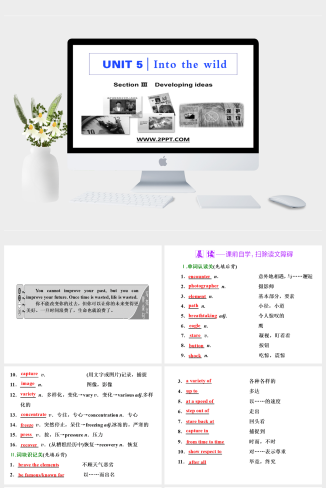 Section Ⅲ　Developing ideas(4)-英语课件