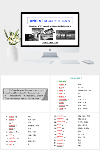 Section Ⅴ　Presenting ideas & Reflection-英语课件