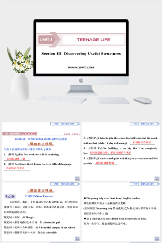 3　 UNIT 1　Section Ⅲ　Discovering Useful Structu