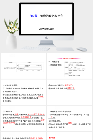 人教版高中生物必修一《第3节  细胞的衰老和死亡》课件PPT模板