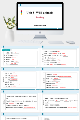 Unit 5《Wild animals》Period 2(2)-英语课件