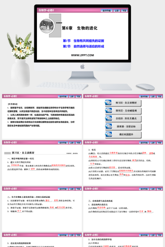 人教版高中生物必修二《第6章  第1节  第2节　自然选择与适应的形成》课件PPT模板