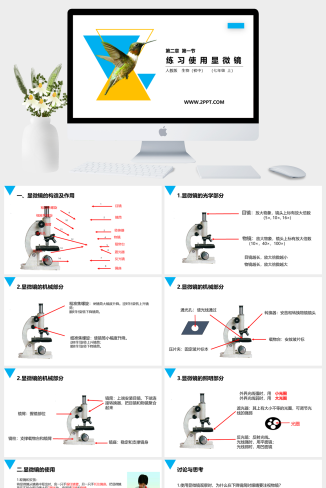 人教版七年级上册生物《第1节 练习使用显微镜》课件PP