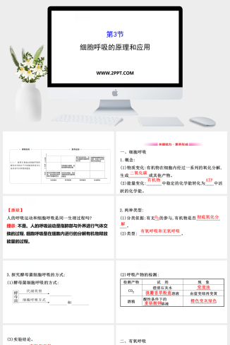 人教版高中生物必修一《第3节  细胞呼吸的原理和应用》课件PPT模板