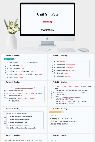 Unit 8《Pets》Period 2　Reading(1)-英语课件