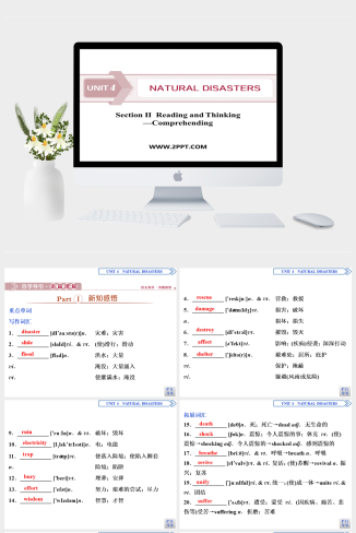 2　 UNIT 4　Section Ⅱ　Reading and Thinking—Comp