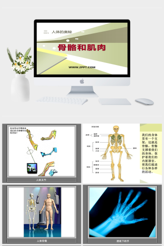 人教版科学六上《骨骼和肌肉》课件1