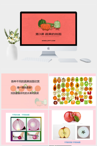 人教版四年级上册美术《3蔬果的剖面》课件PPT模板