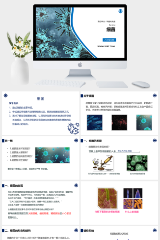 人教版八年级上册生物《细菌》课件PPT模板