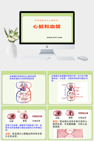 青岛版五年级上册科学心脏和血管课件PPT模板