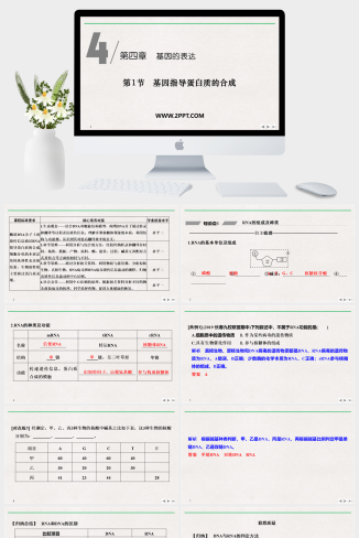人教版高中生物必修二《第1节 基因指导蛋白质的合成》