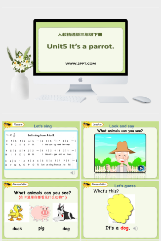 （精通）英语三下Unit 5《It’s a parrot》（Lesson 29）ppt教