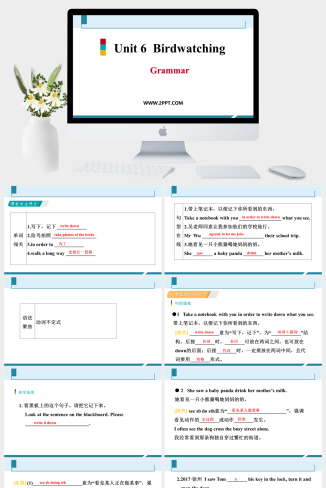 Unit 6  Birdwatching Period 3-英语课件