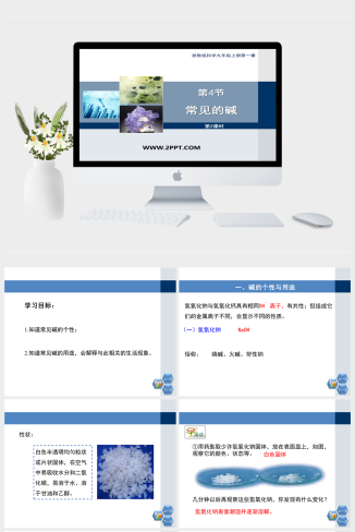 浙教版九年级上册科学1.4《常见的碱》第二课时优秀课
