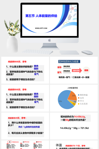 苏教版七年级下册生物《2人体能量的供给》课件PPT模板