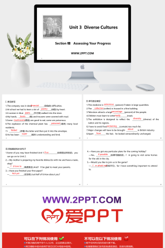 Section Ⅷ Assessing Your Progress(3)-英语课件