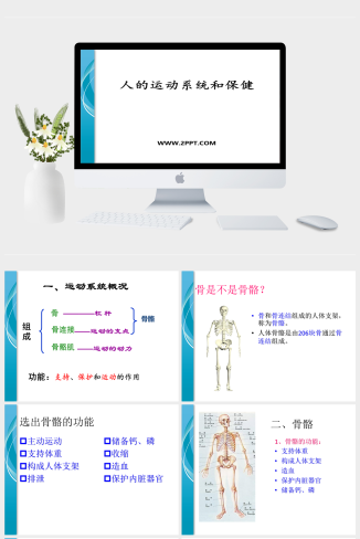 浙教版科学九下3.5《人的运动系统和保健》ppt课件