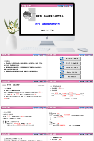 人教版高中生物必修二《第2章  第1节　减数分裂和受精作用》课件PPT模板