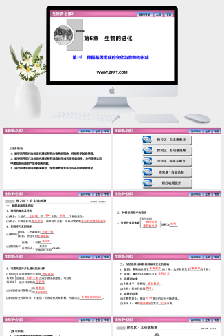 人教版高中生物必修二《第6章  第3节  第4节  第1课时　种群基因组成的变化》课件PPT模板