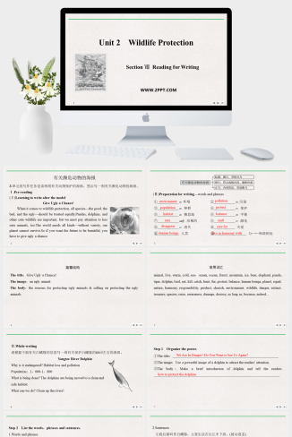 Section Ⅶ Reading for Writing——有关濒危动物的海报-英语课件