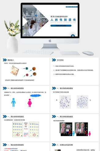 人教版八年级下册生物《人的性别遗传》课件PPT模板