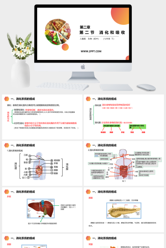 人教版七年级下册生物《第2节 消化和吸收》课件PPT模