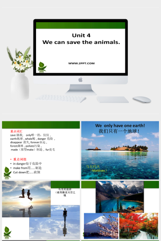 广州版英语六年级下册Unit 4《We can save the animal