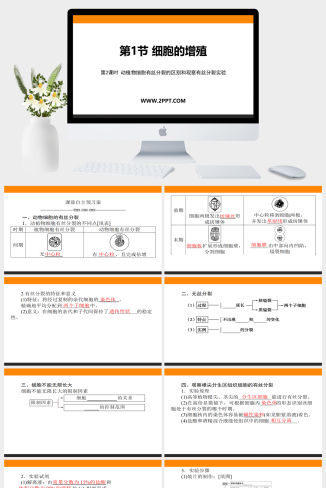 人教版高中生物必修一《第2课时 动植物细胞有丝分裂的
