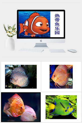 人教版一年级下册美术《热带鱼乐园》课件PPT模板