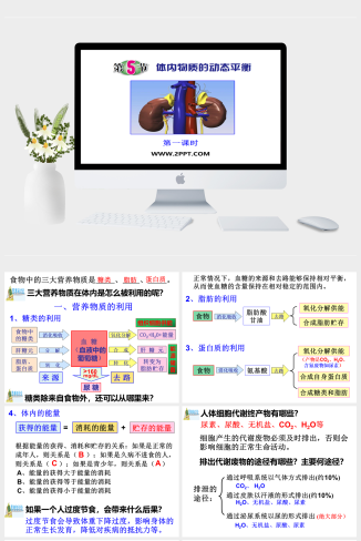 浙教版九年级上册科学第5节 体内物质的动态平衡（第一课
