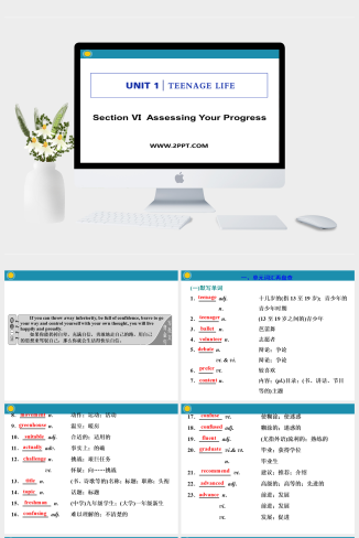 Section Ⅵ　Assessing Your Progress-英语课件