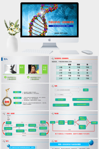 北师大版八年级上册生物《4性状遗传有一定的规律性》课件PPT模板