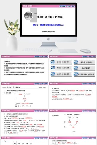 人教版高中生物必修二《第1章  第2节　孟德尔的豌豆杂交实验(二)》课件PPT模板