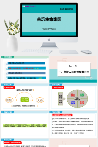 人教版九年级上册道德与法治《6.2 共筑生命家园 》课