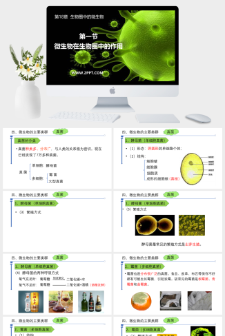 北师大版八年级上册生物《7微生物在生物圈中的作用》